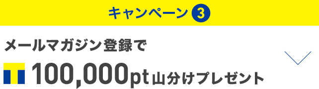 キャンペーン③ メールマガジン登録でTポイント100,000pt山分けプレゼント