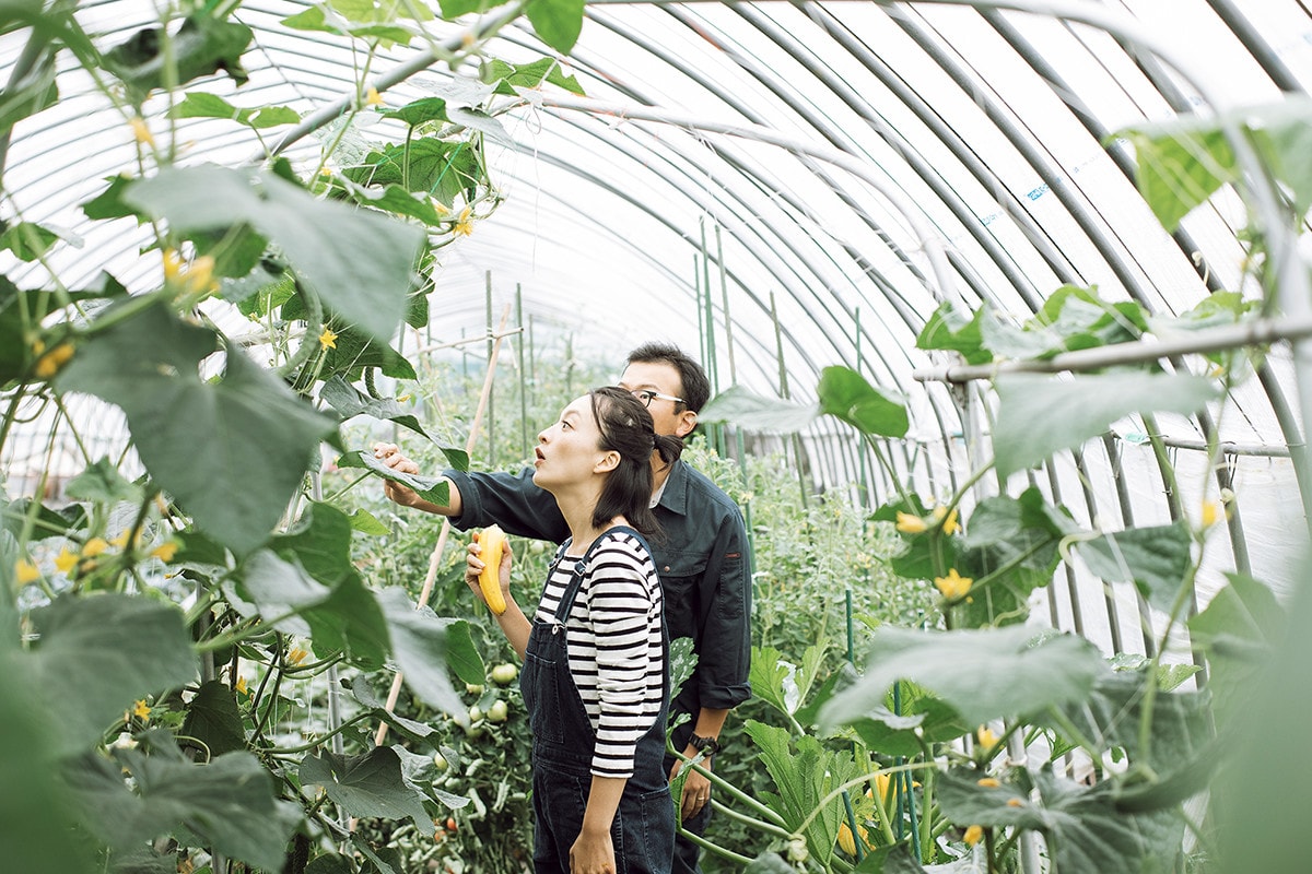 収穫のお手伝いで、農家の仕事とホストさんの思いを知る。