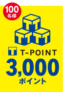 T-POINT 3,000|Cg
