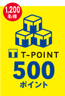 T-POINT 500|Cg