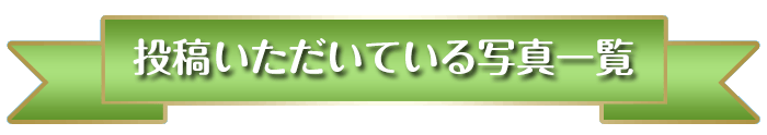eĂʐ^ꗗ
