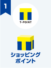 �V���b�s���O�|�C���g