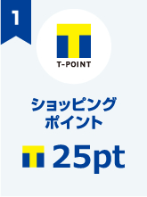 �V���b�s���O�|�C���g