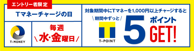 T�}�l�[�`���[�W�̓�