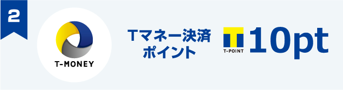 T�}�l�[���σ|�C���g